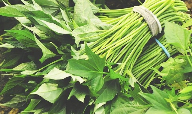 "Rau trường thọ" giá rẻ ở Việt Nam nhưng sang nước ngoài lên tới 600.000đ/bó: Xào hay luộc đều ngon- Ảnh 2.