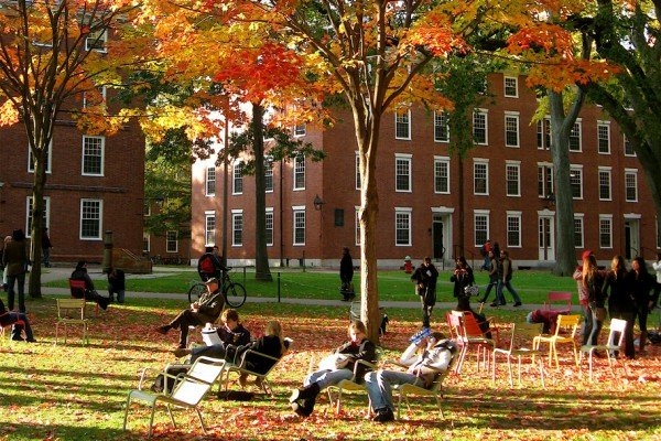 Mỹ khôi phục cấp visa cho sinh viên Harvard- Ảnh 1. Mỹ khôi phục cấp visa cho sinh viên Harvard- Ảnh 1.