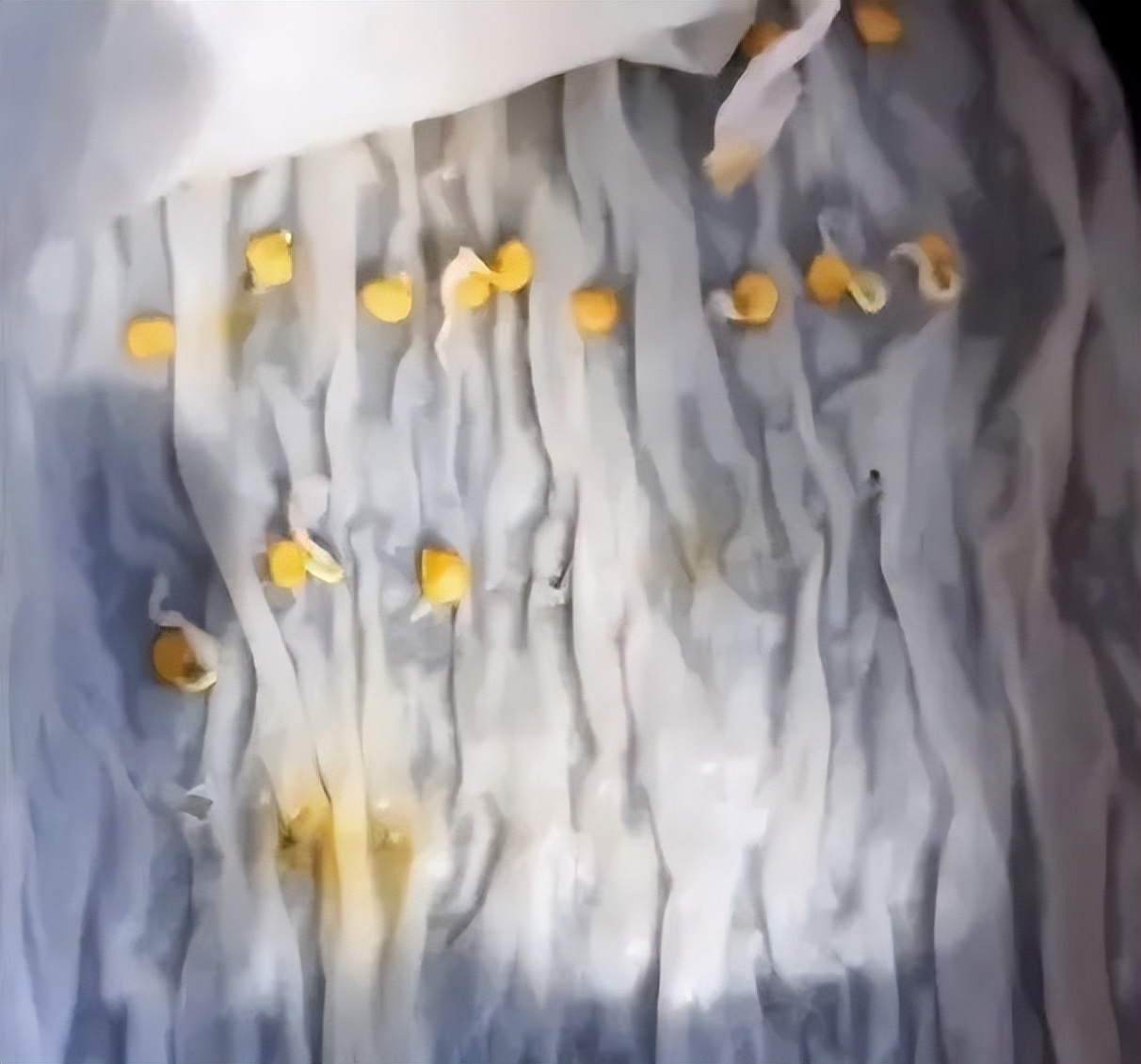 Chàng trai trẻ gây sốt vì trồng ớt bằng chai nước khoáng: 5 cây thu được 5kg, ăn quanh năm không hết- Ảnh 3.