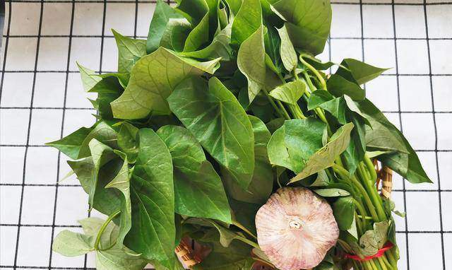 "Rau trường thọ" giá rẻ ở Việt Nam nhưng sang nước ngoài lên tới 600.000đ/bó: Xào hay luộc đều ngon- Ảnh 1.