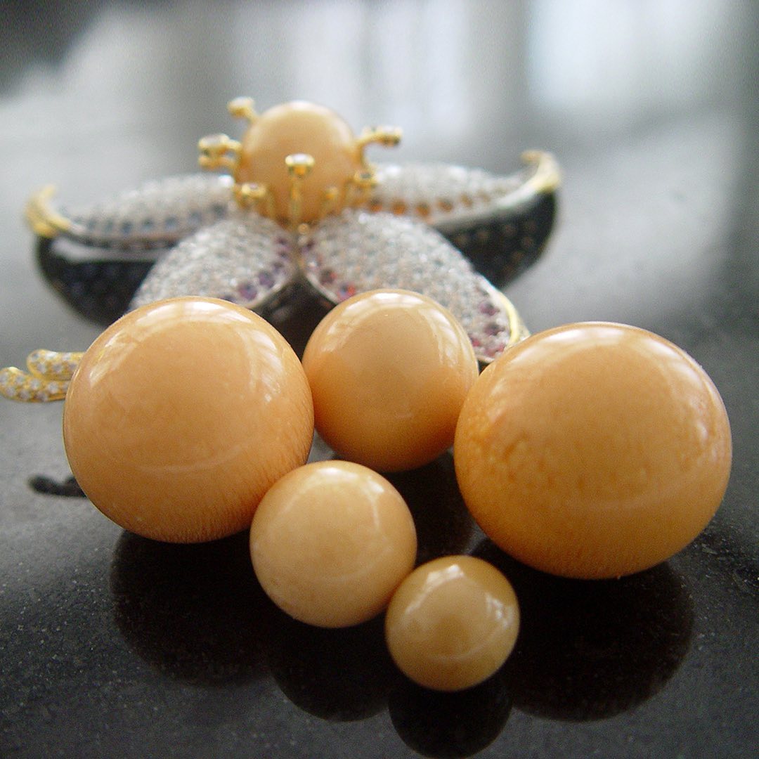 Hạt ngọc quý hiếm có ở Việt Nam: Đắt gấp nhiều lần ngọc trai, nhưng không phải ai cũng biết- Ảnh 4.