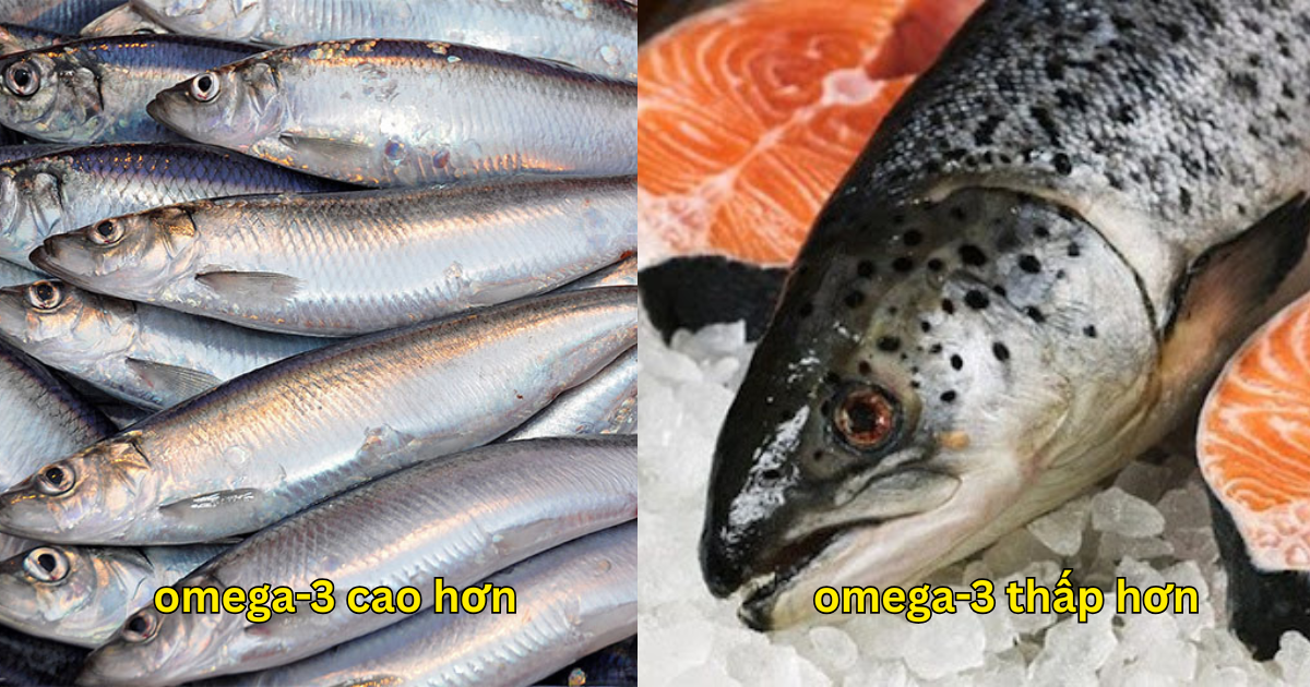 Loại cá Loại cá