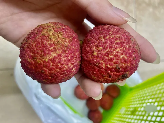 Vải thiều Trung Quốc 'đổ bộ' chợ Việt, giá cao không tưởng- Ảnh 1. Vải thiều Trung Quốc 'đổ bộ' chợ Việt, giá cao không tưởng- Ảnh 1.