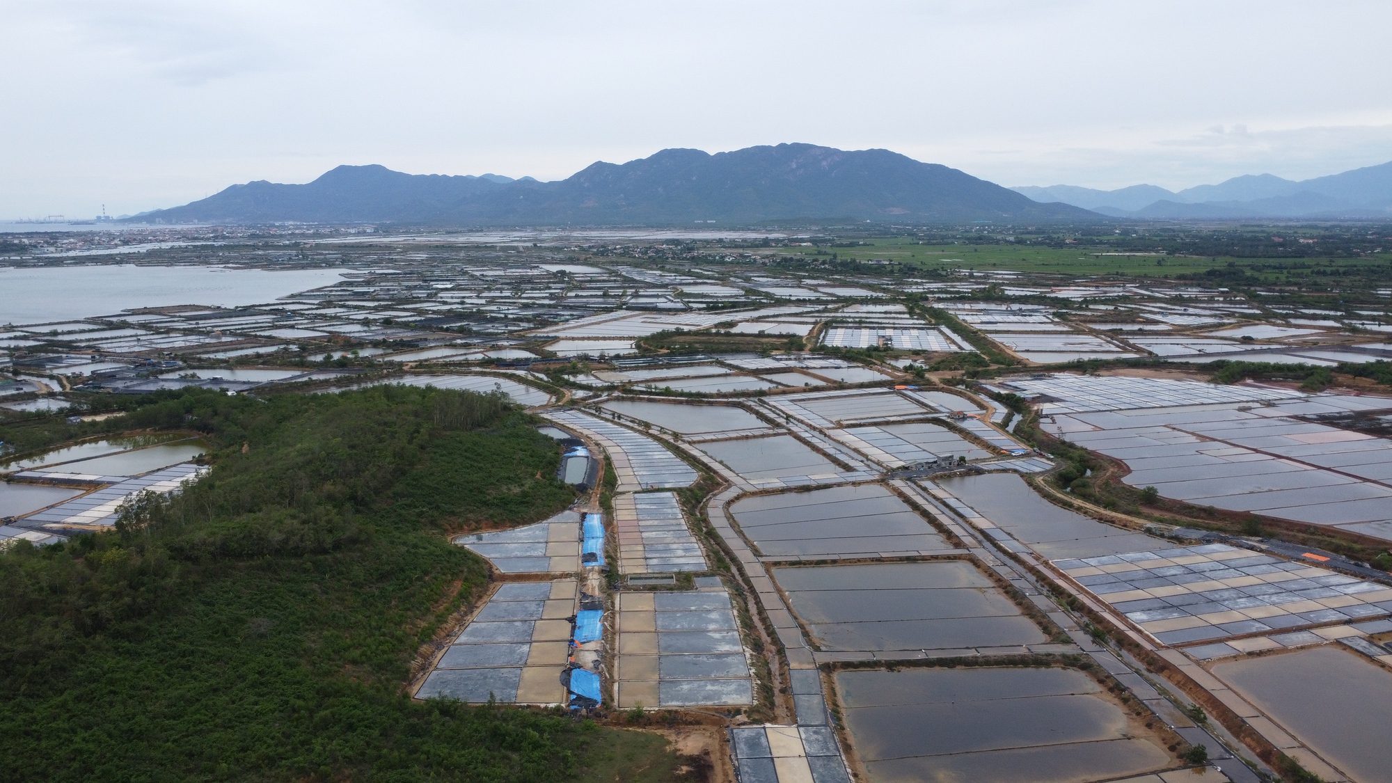 Thu hồi đất giá thấp để doanh nghiệp làm khu công nghiệp, diêm dân khiếu nại- Ảnh 1. Thu hồi đất giá thấp để doanh nghiệp làm khu công nghiệp, diêm dân khiếu nại- Ảnh 1.