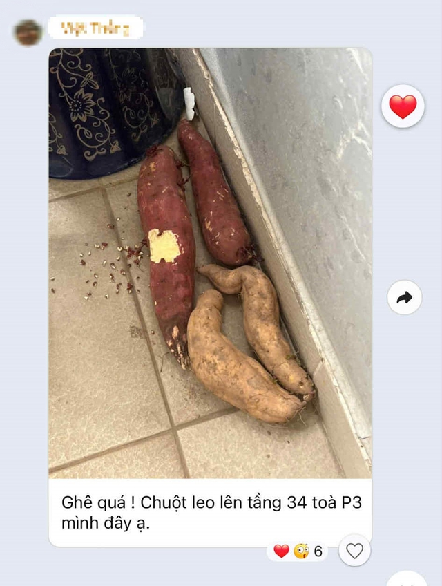 Mua nhà chung cư tầng cao nhưng vẫn phải than trời vì 'vấn nạn' như ở tầng thấp: Lý do vì đâu?- Ảnh 2. Mua nhà chung cư tầng cao nhưng vẫn phải than trời vì 'vấn nạn' như ở tầng thấp: Lý do vì đâu?- Ảnh 2.