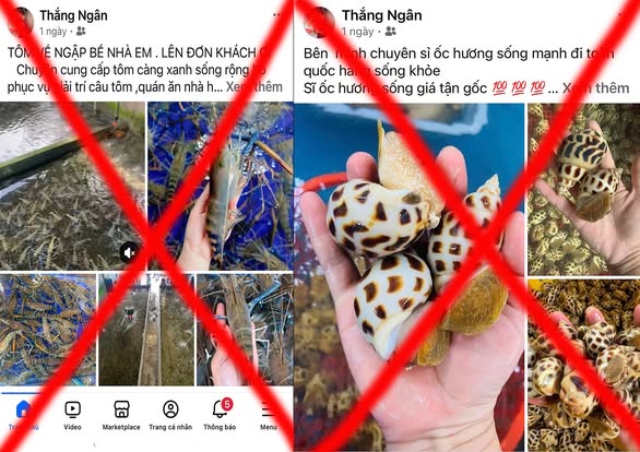 Bắt chủ tài khoản mạng xã hội “Ngân Hải Sản” và "Thắng Ngân"- Ảnh 2. Bắt chủ tài khoản mạng xã hội “Ngân Hải Sản” và "Thắng Ngân"- Ảnh 2.