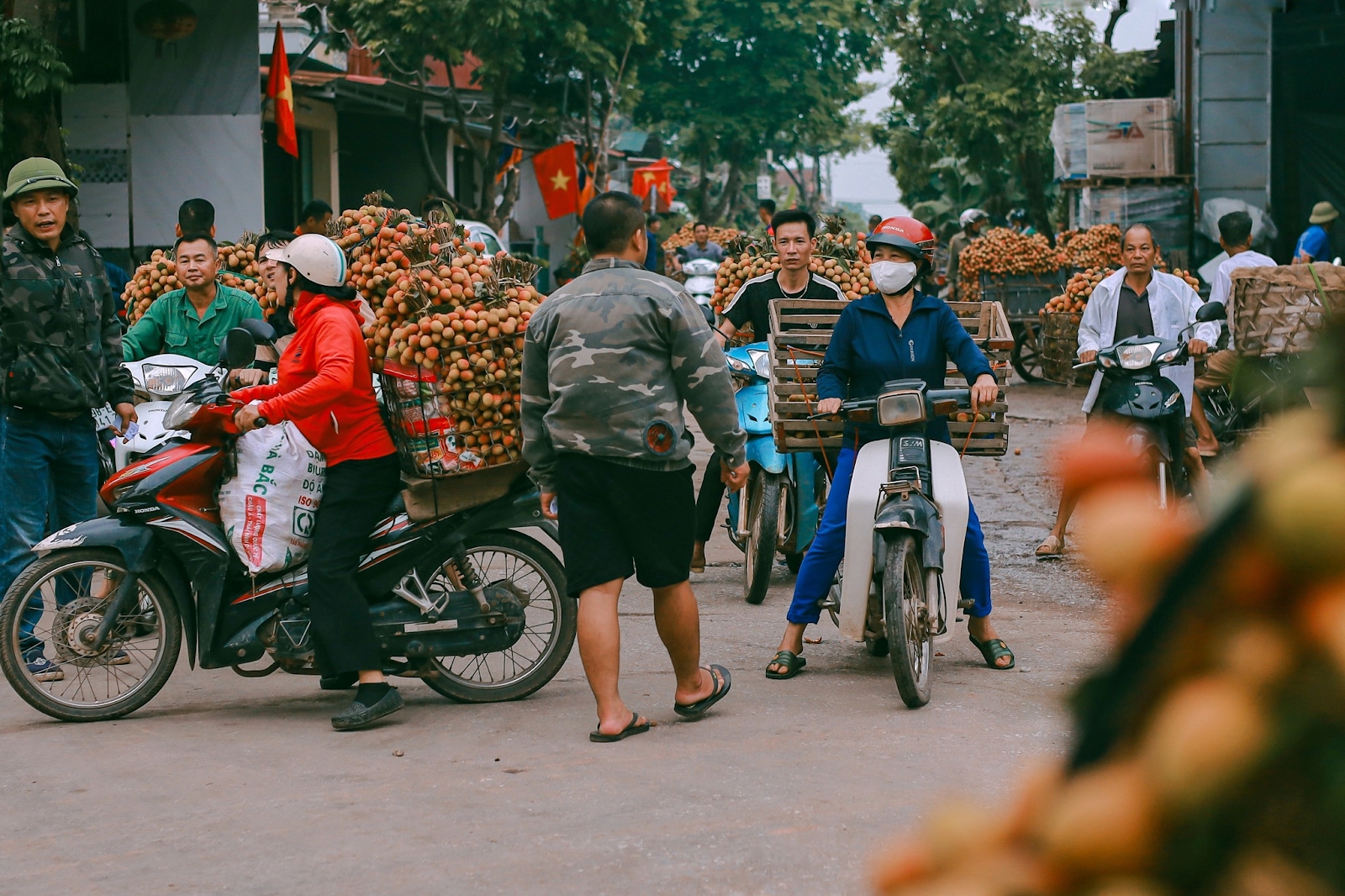 Cảm nhận niềm vui lao động qua bộ ảnh người dân thu hoạch vải- Ảnh 4. Cảm nhận niềm vui lao động qua bộ ảnh người dân thu hoạch vải- Ảnh 4.