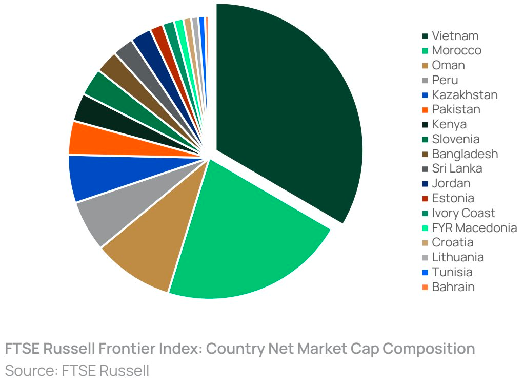 Dragon Capital: Việt Nam đã "quá lớn" để ở lại rổ thị trường chứng khoán cận biên, tín hiệu nâng hạng ngày càng rõ ràng- Ảnh 2. Dragon Capital: Việt Nam đã "quá lớn" để ở lại rổ thị trường chứng khoán cận biên, tín hiệu nâng hạng ngày càng rõ ràng- Ảnh 2.