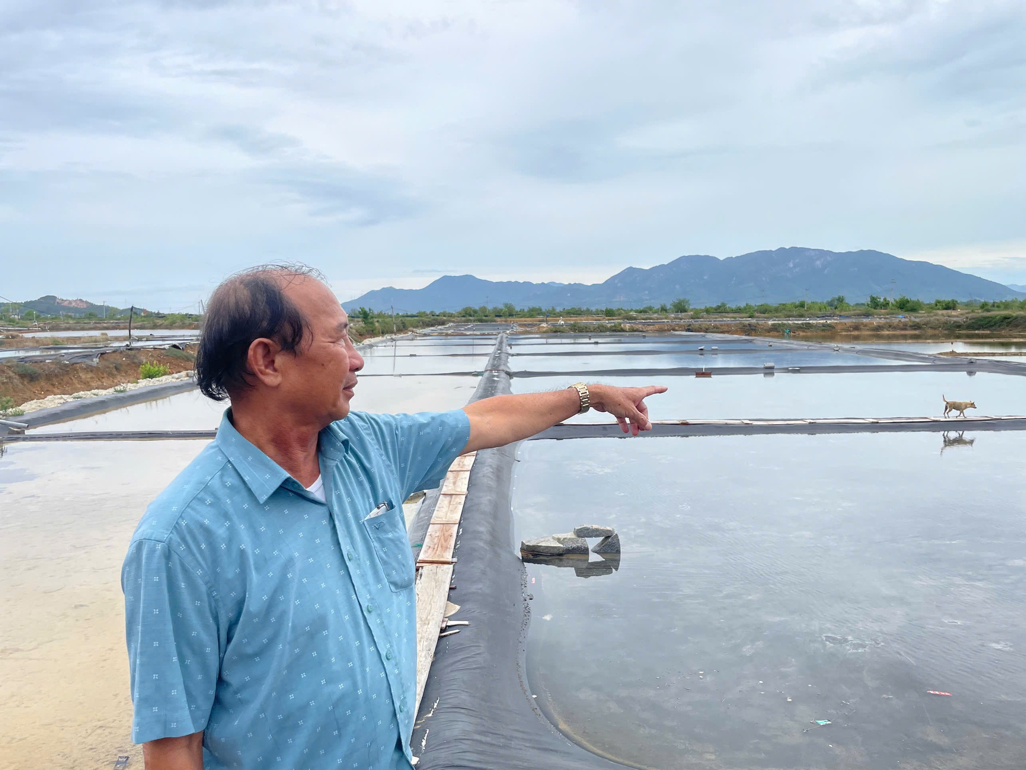Thu hồi đất giá thấp để doanh nghiệp làm khu công nghiệp, diêm dân khiếu nại- Ảnh 2. Thu hồi đất giá thấp để doanh nghiệp làm khu công nghiệp, diêm dân khiếu nại- Ảnh 2.