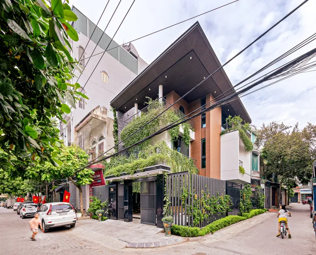 Cách đưa những 'khu vườn' len lỏi khắp nhà phố 3 tầng- Ảnh 1. Cách đưa những 'khu vườn' len lỏi khắp nhà phố 3 tầng- Ảnh 1.