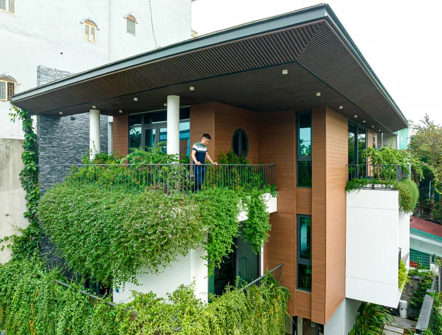 Cách đưa những 'khu vườn' len lỏi khắp nhà phố 3 tầng- Ảnh 2. Cách đưa những 'khu vườn' len lỏi khắp nhà phố 3 tầng- Ảnh 2.