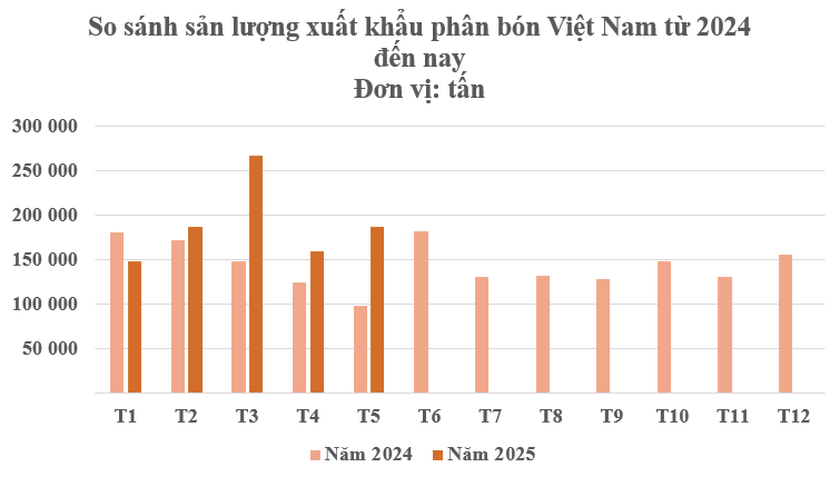 Hàng trăm nghìn tấn hàng của Việt Nam vừa đổ bộ Campuchia: Được mệnh danh cứu tinh của nông sản, nước ta tiêu thụ hàng chục triệu tấn mỗi năm- Ảnh 2.