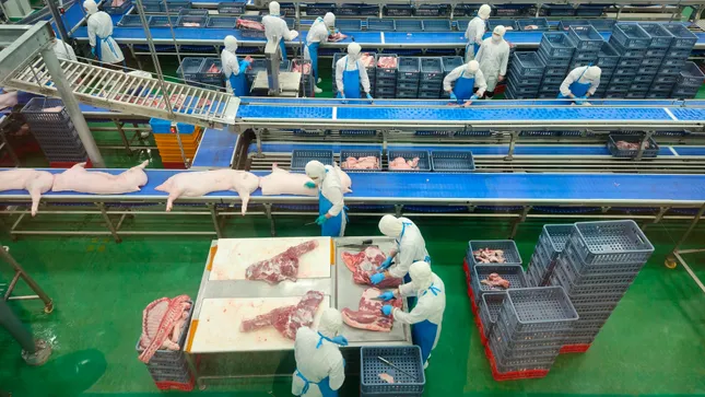 Hà Nội: Liên ngành đột xuất kiểm tra Công ty C.P trong đêm- Ảnh 2. Hà Nội: Liên ngành đột xuất kiểm tra Công ty C.P trong đêm- Ảnh 2.