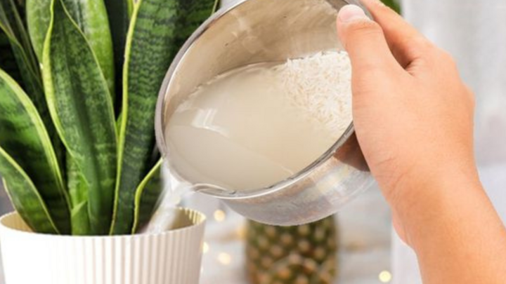 Đây mới là “đỉnh cao tối giản”: Người phụ nữ 57 tuổi khiến cả mạng xã hội ngả mũ- Ảnh 2. Đây mới là “đỉnh cao tối giản”: Người phụ nữ 57 tuổi khiến cả mạng xã hội ngả mũ- Ảnh 2.