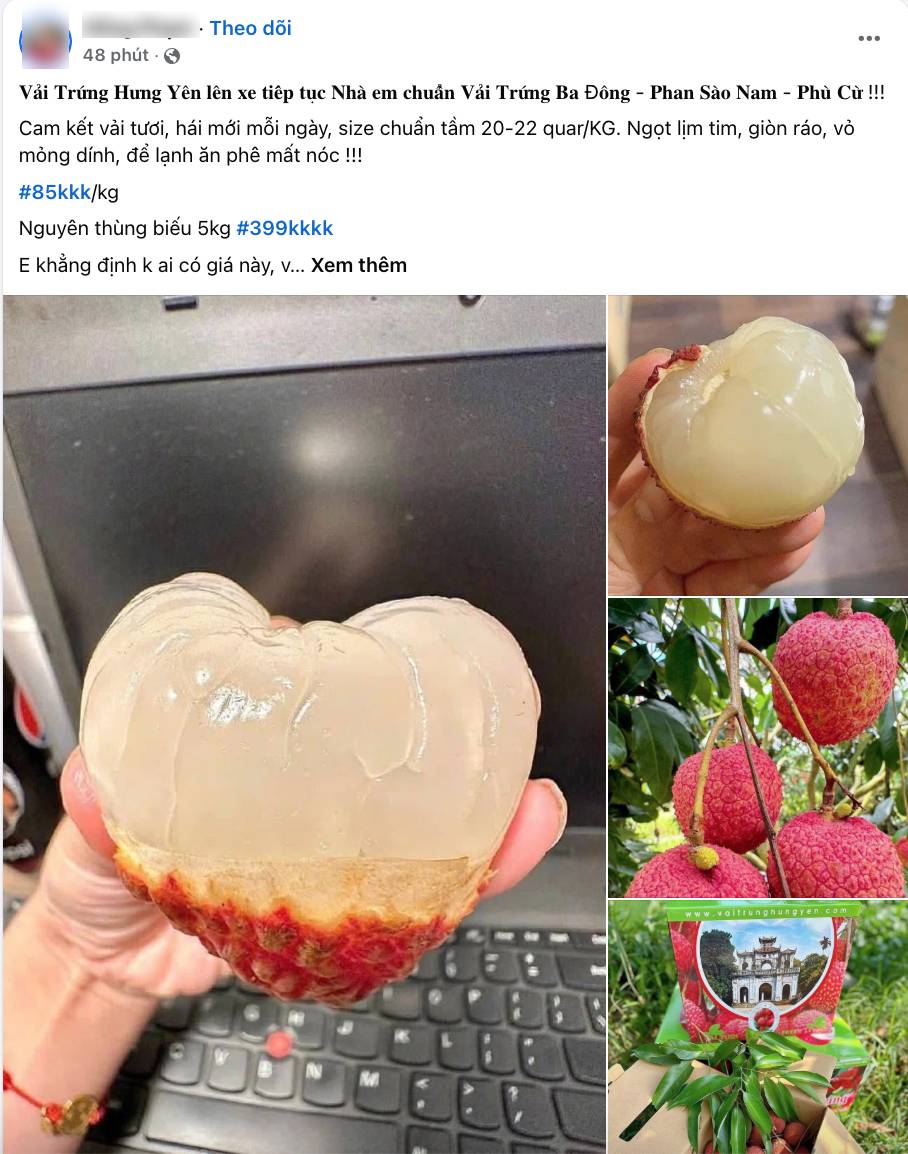 Loạn giá vải trứng Hưng Yên: Nơi 240.000 đồng/kg, nơi chỉ 45.000 đồng/kg, chuyện gì đây?- Ảnh 4. Loạn giá vải trứng Hưng Yên: Nơi 240.000 đồng/kg, nơi chỉ 45.000 đồng/kg, chuyện gì đây?- Ảnh 4.