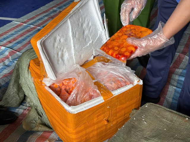 Rùng mình hình ảnh 20 tấn nội tạng bò, gà nấm mốc, bốc mùi hôi thối ém trong container đông lạnh- Ảnh 5. Rùng mình hình ảnh 20 tấn nội tạng bò, gà nấm mốc, bốc mùi hôi thối ém trong container đông lạnh- Ảnh 5.