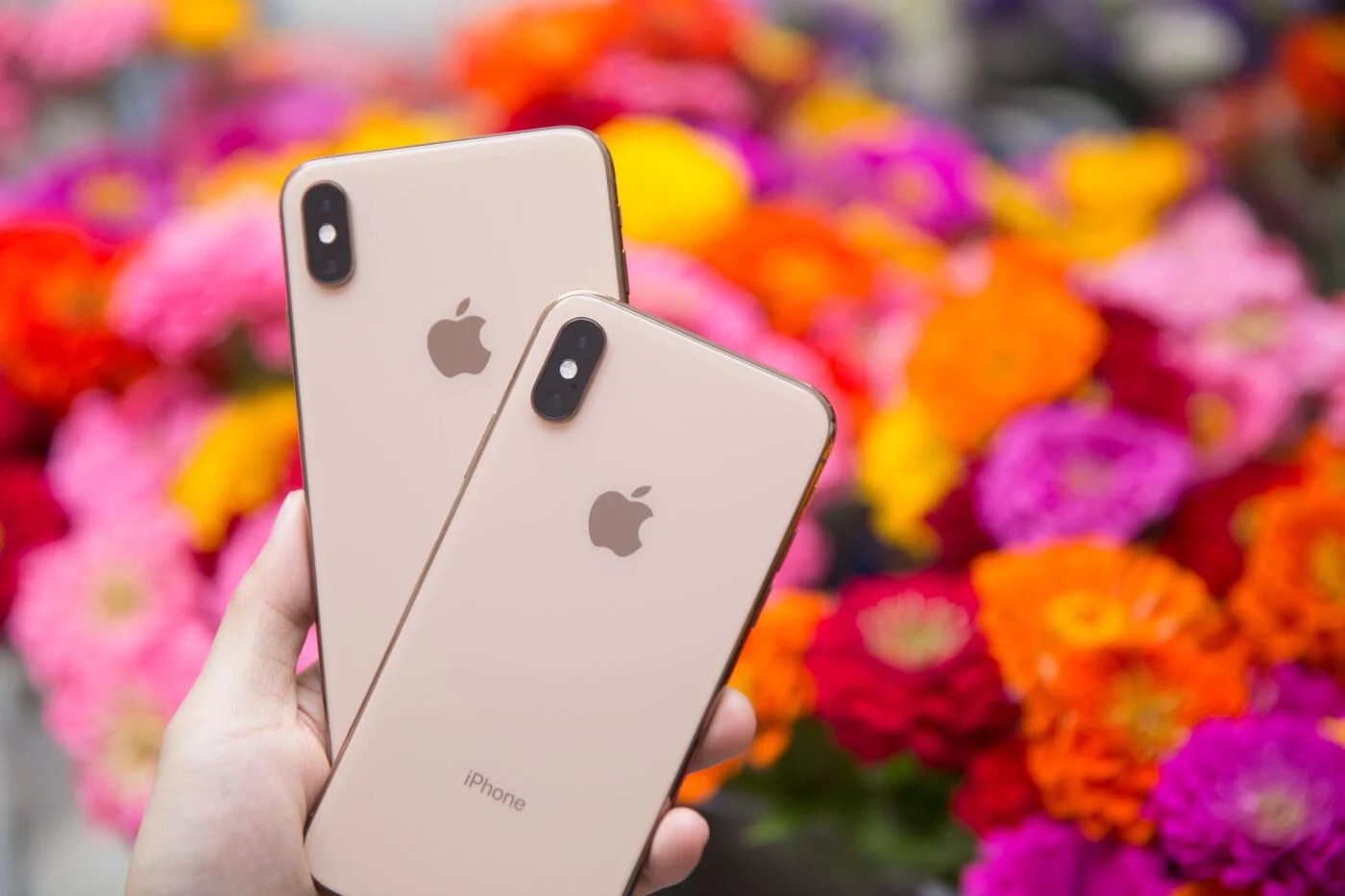 iPhone XS chính thức lọt vào danh sách 'đồ cổ': Siêu phẩm một thời đình đám giờ chỉ còn là dĩ vãng- Ảnh 2. iPhone XS chính thức lọt vào danh sách 'đồ cổ': Siêu phẩm một thời đình đám giờ chỉ còn là dĩ vãng- Ảnh 2.