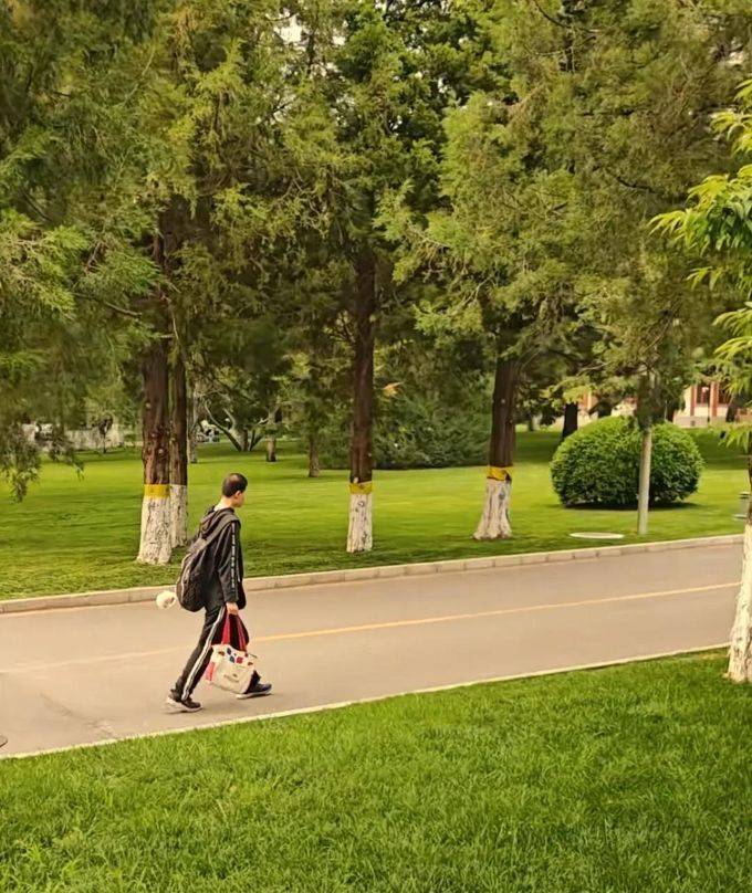 3 vật bất ly thân của Vi Thần: Toàn những cái ai cũng xem thường - tiện tay thì vứt đi, riêng thiên tài toán học lại giữ khư khư- Ảnh 12. 3 vật bất ly thân của Vi Thần: Toàn những cái ai cũng xem thường - tiện tay thì vứt đi, riêng thiên tài toán học lại giữ khư khư- Ảnh 12.