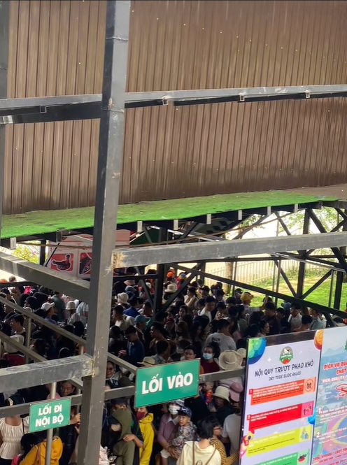 Nỗi niềm của chủ quán cafe thú cưng ở Đà Lạt: Làm mô hình giống hệt, Nỗi niềm của chủ quán cafe thú cưng ở Đà Lạt: Làm mô hình giống hệt,