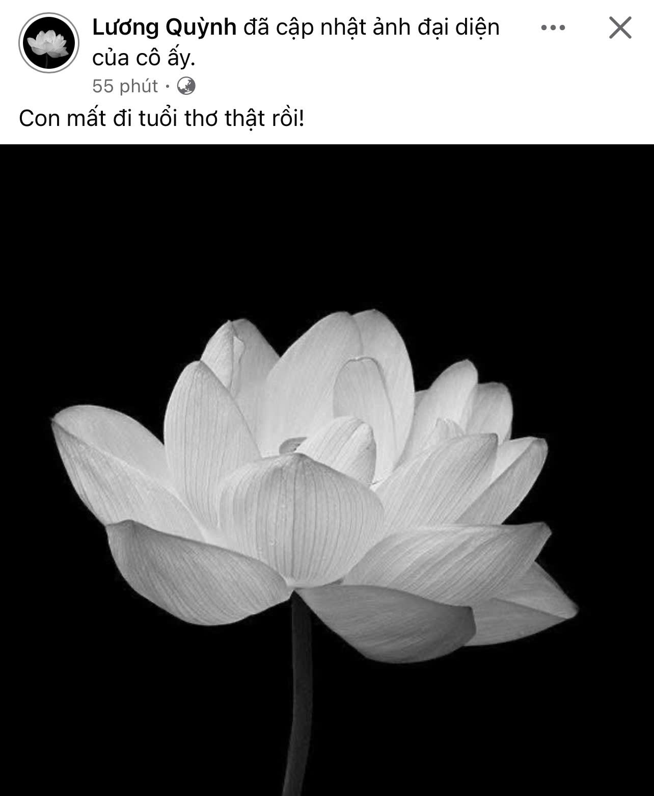 Bà ngoại Quỳnh Lương qua đời vì uống phải thuốc giả, Lê Giang cùng dàn sao đồng loạt chia buồn- Ảnh 1. Bà ngoại Quỳnh Lương qua đời vì uống phải thuốc giả, Lê Giang cùng dàn sao đồng loạt chia buồn- Ảnh 1.
