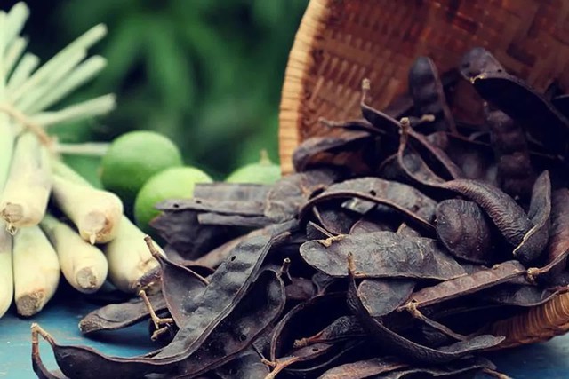 Loại quả mọc dại ở Việt Nam có giá 2,1 triệu đồng/kg ở Trung Quốc: Dùng để tắm, ngâm chân cực tốt- Ảnh 4. Loại quả mọc dại ở Việt Nam có giá 2,1 triệu đồng/kg ở Trung Quốc: Dùng để tắm, ngâm chân cực tốt- Ảnh 4.