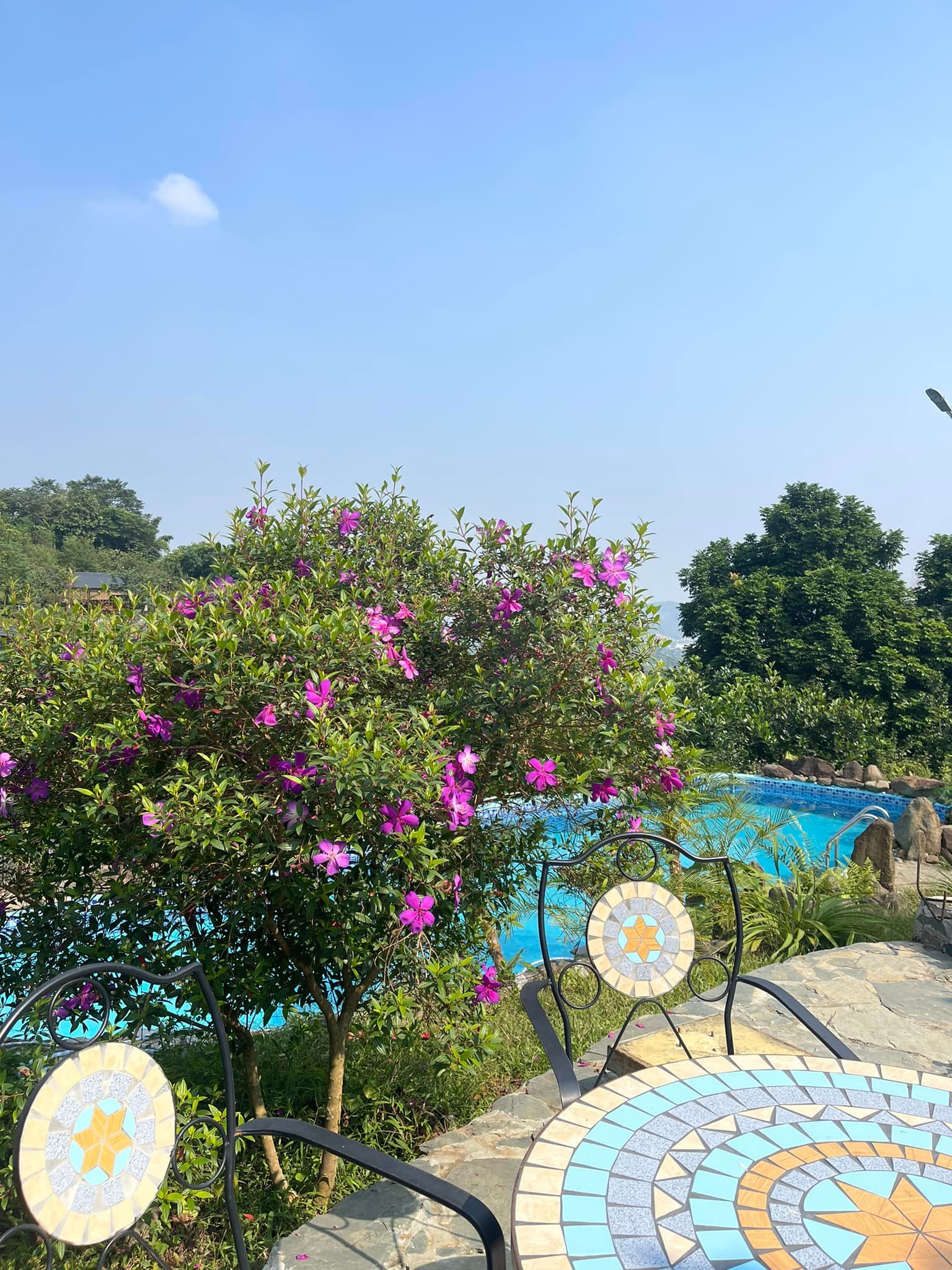 Nam NSƯT một mình chăm con nhỏ trong nhà vườn 10.000m2 ở Hà Nội, U60 không ngại cưới vợ lần 2- Ảnh 7. Nam NSƯT một mình chăm con nhỏ trong nhà vườn 10.000m2 ở Hà Nội, U60 không ngại cưới vợ lần 2- Ảnh 7.