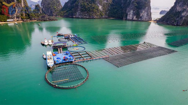 Nơi từng là thương cảng sầm uất nhất Việt Nam: Bước đại nhảy vọt thành đặc khu kinh tế biển hiện đại- Ảnh 3. Nơi từng là thương cảng sầm uất nhất Việt Nam: Bước đại nhảy vọt thành đặc khu kinh tế biển hiện đại- Ảnh 3.