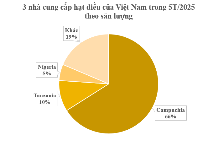 'Hạt vàng' từ Campuchia tràn về Việt Nam: Thuế suất 0% tiếp sức cho ngành xuất khẩu tỷ đô- Ảnh 2. 'Hạt vàng' từ Campuchia tràn về Việt Nam: Thuế suất 0% tiếp sức cho ngành xuất khẩu tỷ đô- Ảnh 2.