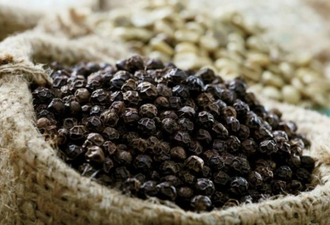 Việt Nam trồng được loại gia vị như "vàng đen" khiến Ấn Độ, Mỹ, Đức đổ xô mua: Đắk Nông cực nhiều- Ảnh 1. Việt Nam trồng được loại gia vị như "vàng đen" khiến Ấn Độ, Mỹ, Đức đổ xô mua: Đắk Nông cực nhiều- Ảnh 1.