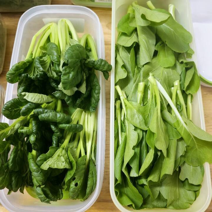 Chuyên gia cảnh báo nguy hiểm khi tin nước rửa rau củ quả loại bỏ hết hóa chất- Ảnh 3.