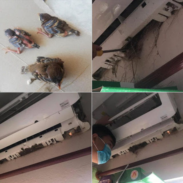 Kiểm tra điều hòa, người dùng sững người bởi cảnh tượng trước mặt: Nguyên nhân rất nhiều nhà chủ quan- Ảnh 3. Kiểm tra điều hòa, người dùng sững người bởi cảnh tượng trước mặt: Nguyên nhân rất nhiều nhà chủ quan- Ảnh 3.