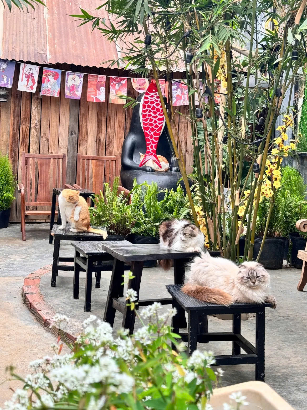 Chủ Thung Lũng Gâu Đà Lạt: Đầu tư nửa tỷ, nợ thêm 300 triệu phải đi phụ hồ để bù lỗ vẫn cố bám trụ vì đâu?- Ảnh 5.