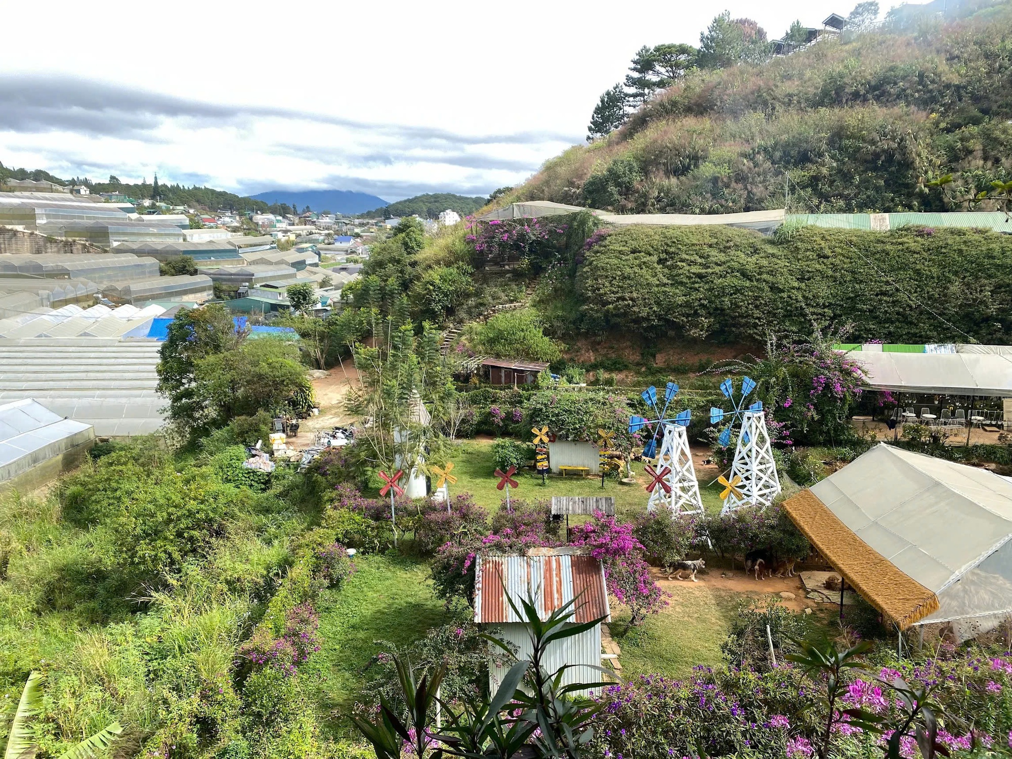 Chủ Thung Lũng Gâu Đà Lạt: Đầu tư nửa tỷ, nợ thêm 300 triệu phải đi phụ hồ để bù lỗ vẫn cố bám trụ vì đâu?- Ảnh 1.