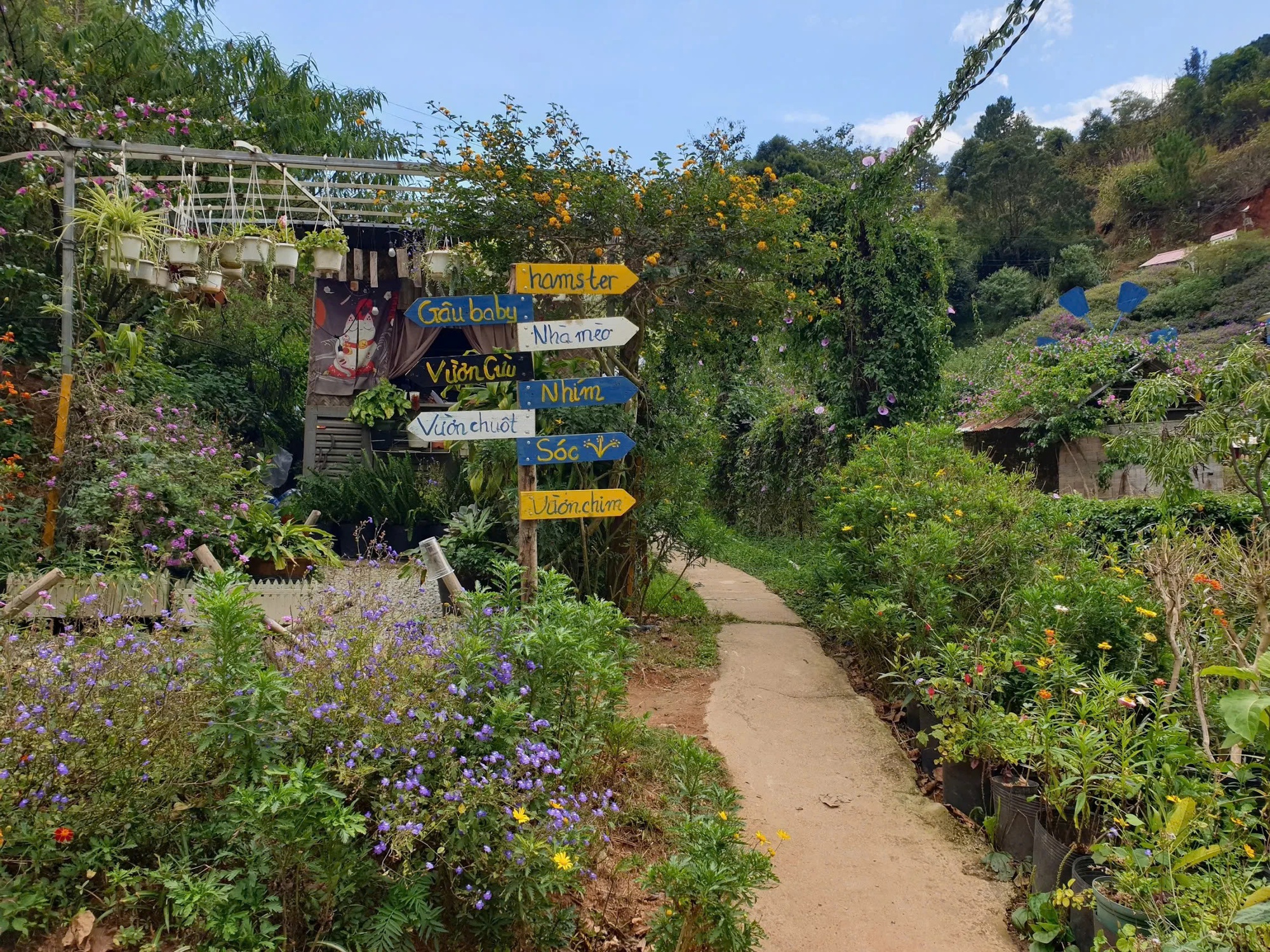 Chủ Thung Lũng Gâu Đà Lạt: Đầu tư nửa tỷ, nợ thêm 300 triệu phải đi phụ hồ để bù lỗ vẫn cố bám trụ vì đâu?- Ảnh 4.