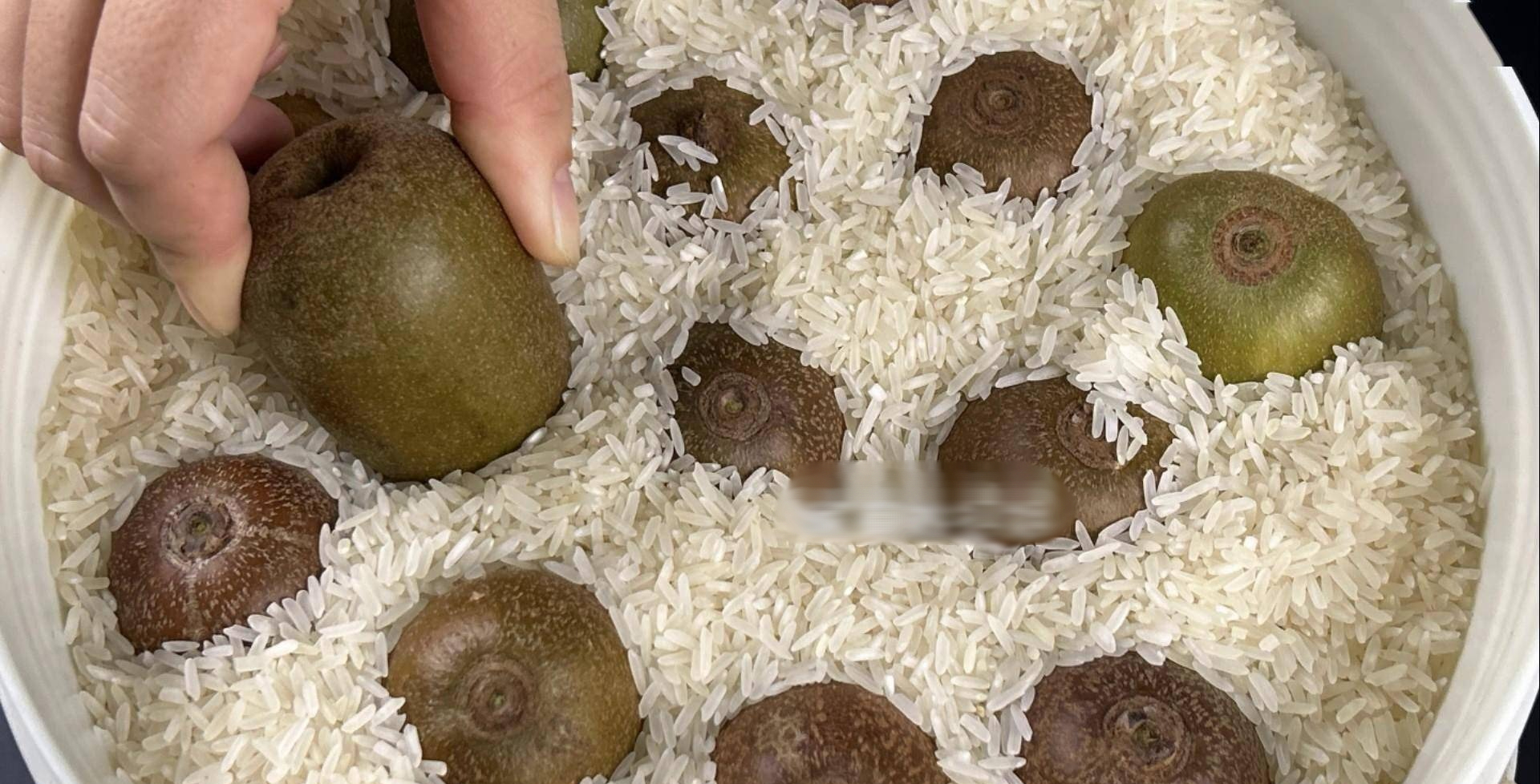 Loại quả bé xíu mệnh danh là 