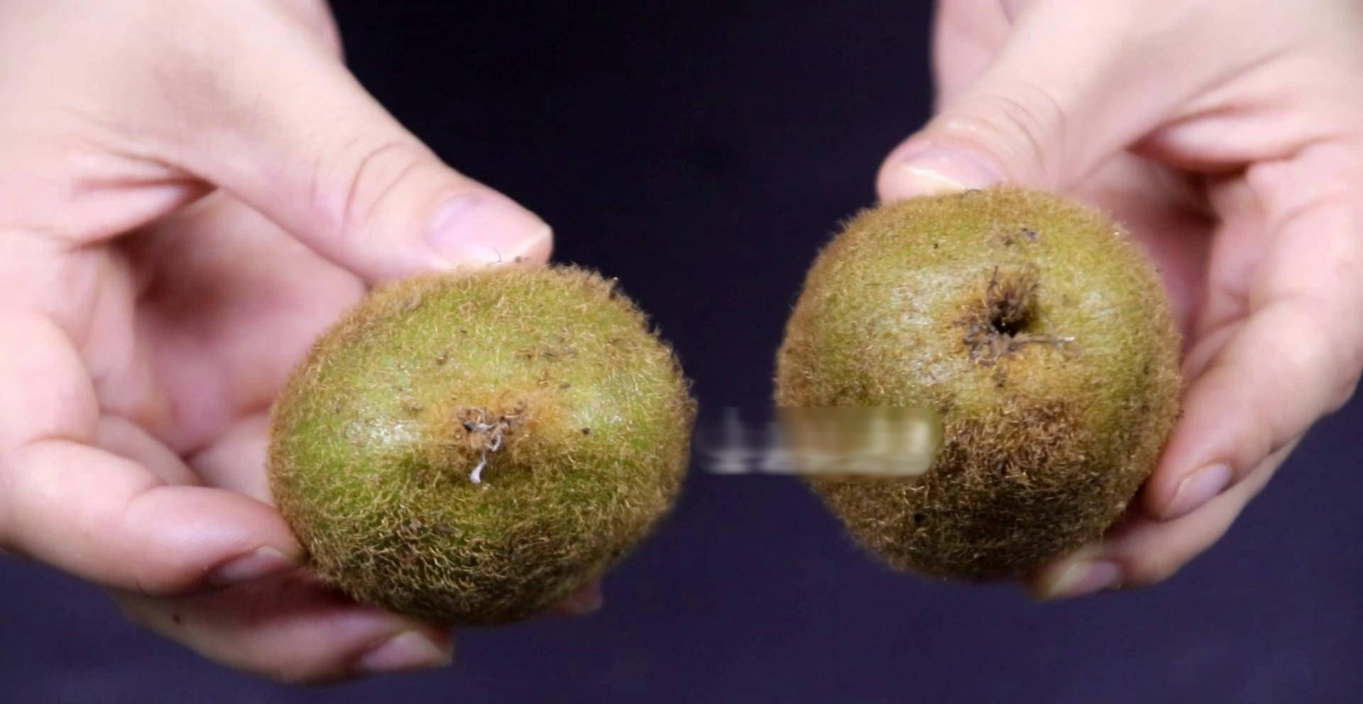 Loại quả bé xíu mệnh danh là 