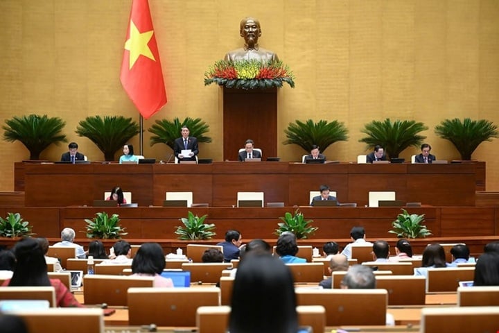 ĐBQH: Cần chế tài đủ mạnh để triệt hàng giả, hàng nhái- Ảnh 2. ĐBQH: Cần chế tài đủ mạnh để triệt hàng giả, hàng nhái- Ảnh 2.