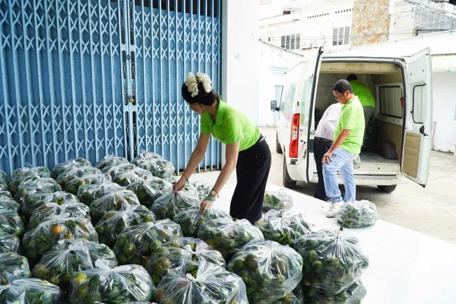 Nhiều loại trái cây rớt giá 'không lối thoát'- Ảnh 1. Nhiều loại trái cây rớt giá 'không lối thoát'- Ảnh 1.