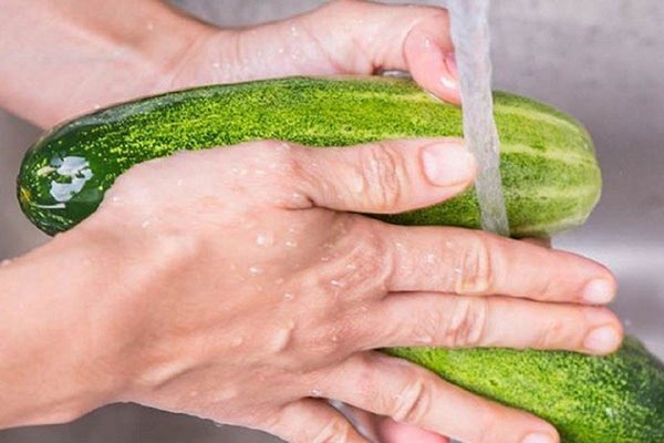 Loại quả nhiều nước hơn dưa hấu, thường bị nhầm là rau: Nên ăn cả vỏ, có loại giá gần 400.000đ/kg- Ảnh 4. Loại quả nhiều nước hơn dưa hấu, thường bị nhầm là rau: Nên ăn cả vỏ, có loại giá gần 400.000đ/kg- Ảnh 4.