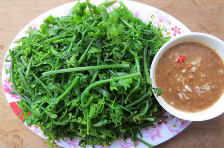 1 loại rau mọc dại ở Việt Nam được người Trung Quốc xem là “rau trường thọ”, sang tận nơi để thu mua: Giá ngang thịt bò, bổ tựa nhân sâm- Ảnh 2. 1 loại rau mọc dại ở Việt Nam được người Trung Quốc xem là “rau trường thọ”, sang tận nơi để thu mua: Giá ngang thịt bò, bổ tựa nhân sâm- Ảnh 2.