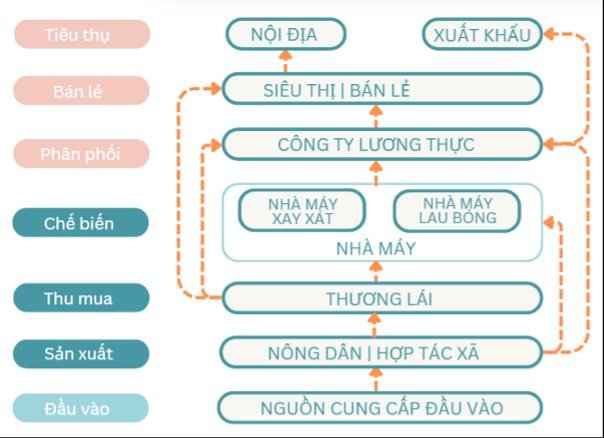 Bắt đầu từ OEM ngành gạo, nước cờ tiếp theo của TCO là gì?- Ảnh 1.