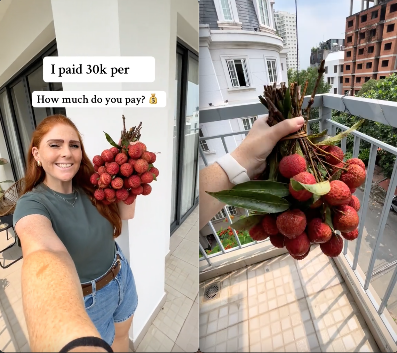 Bỏ 30.000 đồng/kg mua loại trái cây yêu thích ở Việt Nam, khách Tây khiến dân mạng bái phục vì "mát tay" chọn được giá hời- Ảnh 2. Bỏ 30.000 đồng/kg mua loại trái cây yêu thích ở Việt Nam, khách Tây khiến dân mạng bái phục vì "mát tay" chọn được giá hời- Ảnh 2.
