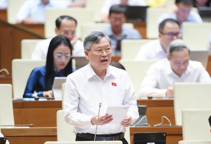 ĐBQH: Cần chế tài đủ mạnh để triệt hàng giả, hàng nhái- Ảnh 1. ĐBQH: Cần chế tài đủ mạnh để triệt hàng giả, hàng nhái- Ảnh 1.