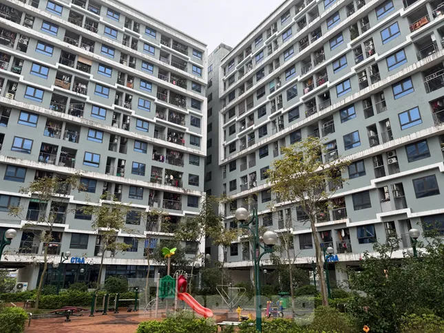 Doanh nghiệp Nhà nước nên hướng vào làm nhà ở giá rẻ- Ảnh 1. Doanh nghiệp Nhà nước nên hướng vào làm nhà ở giá rẻ- Ảnh 1.