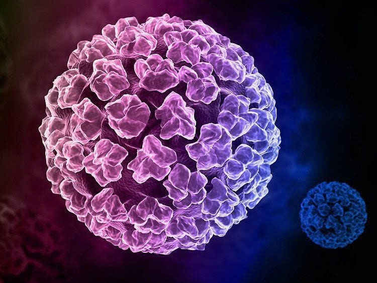 TP.HCM: Cô gái 25 tuổi cùng lúc nhiễm 21 chủng virus HPV, có 14 chủng thuộc nhóm nguy cơ gây ung thư cao- Ảnh 2. TP.HCM: Cô gái 25 tuổi cùng lúc nhiễm 21 chủng virus HPV, có 14 chủng thuộc nhóm nguy cơ gây ung thư cao- Ảnh 2.