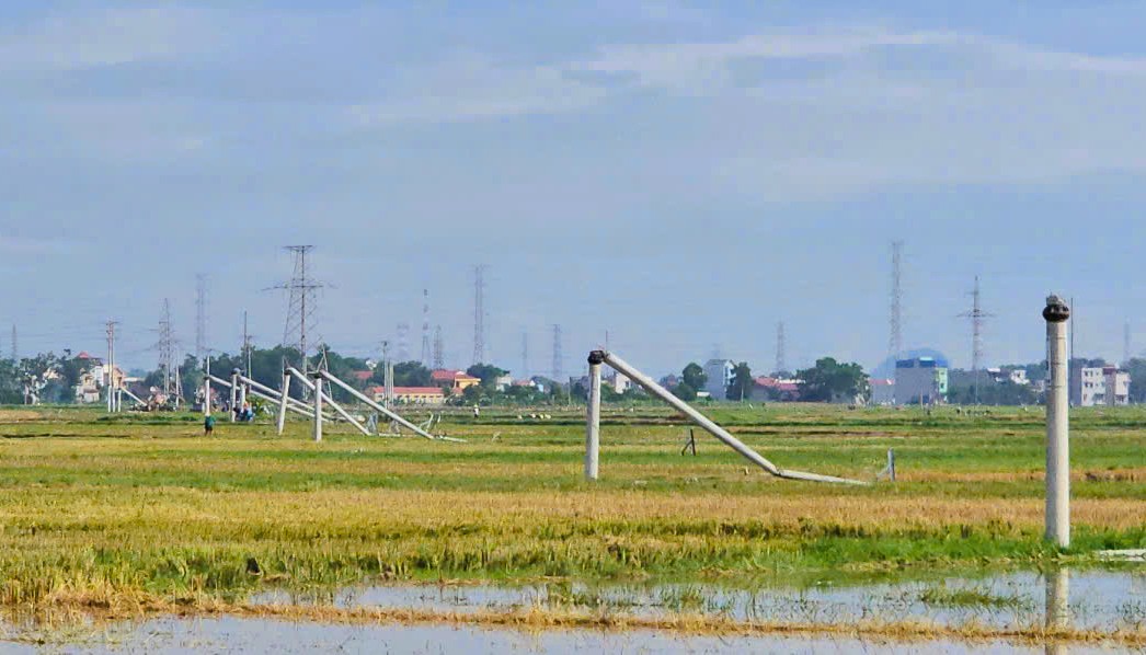 Cột điện đường dây 22 kV gãy đổ như "ngả rạ" sau mưa dông ở Thanh Hóa- Ảnh 3. Cột điện đường dây 22 kV gãy đổ như "ngả rạ" sau mưa dông ở Thanh Hóa- Ảnh 3.