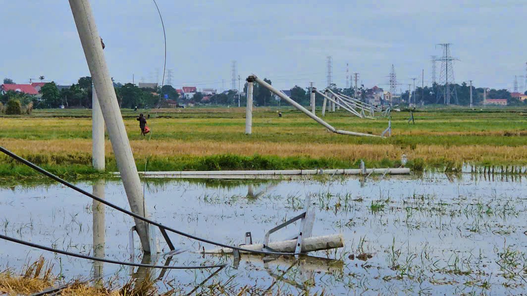 Cột điện đường dây 22 kV gãy đổ như "ngả rạ" sau mưa dông ở Thanh Hóa- Ảnh 1. Cột điện đường dây 22 kV gãy đổ như "ngả rạ" sau mưa dông ở Thanh Hóa- Ảnh 1.