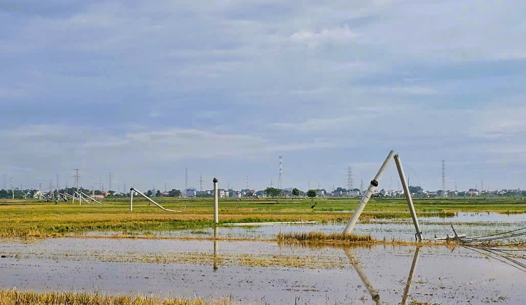 Cột điện đường dây 22 kV gãy đổ như "ngả rạ" sau mưa dông ở Thanh Hóa- Ảnh 4. Cột điện đường dây 22 kV gãy đổ như "ngả rạ" sau mưa dông ở Thanh Hóa- Ảnh 4.