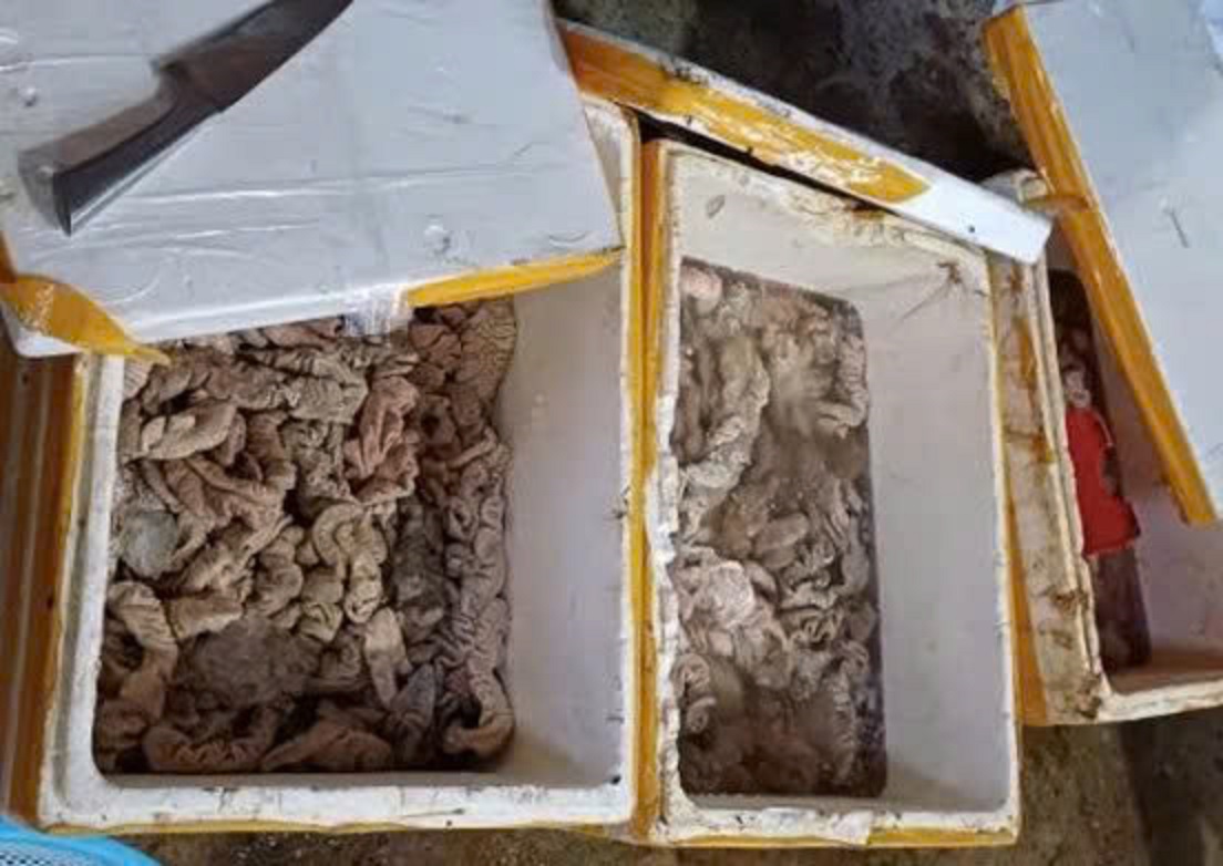 Phát hiện kho hàng tại Đà Nẵng chứa 3,5 tấn thịt, nội tạng bốc mùi đổi màu- Ảnh 1. Phát hiện kho hàng tại Đà Nẵng chứa 3,5 tấn thịt, nội tạng bốc mùi đổi màu- Ảnh 1.