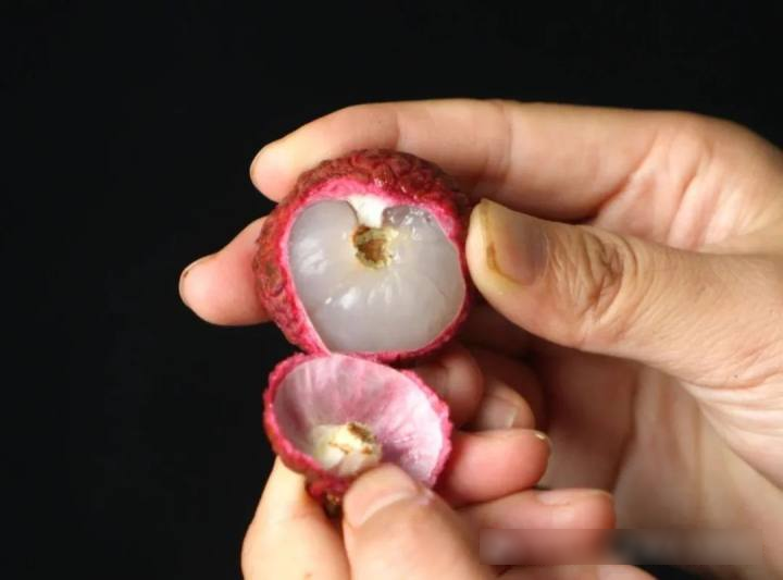 Bóc vỏ quả vải, phần đen trên cuống là gì? Nhiều người nghĩ là Bóc vỏ quả vải, phần đen trên cuống là gì? Nhiều người nghĩ là